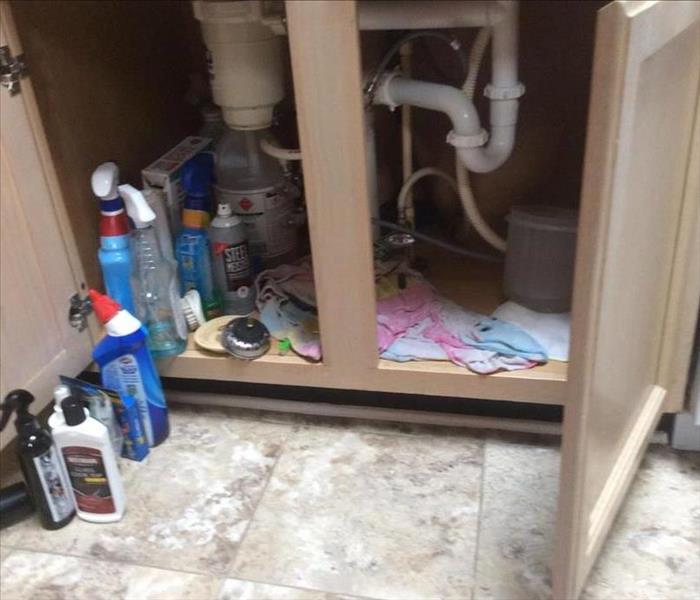 photo of open cabinet showing pipes and wet materials